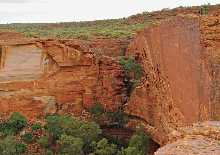 Touren zum Kings Canyon ab Alice Springs